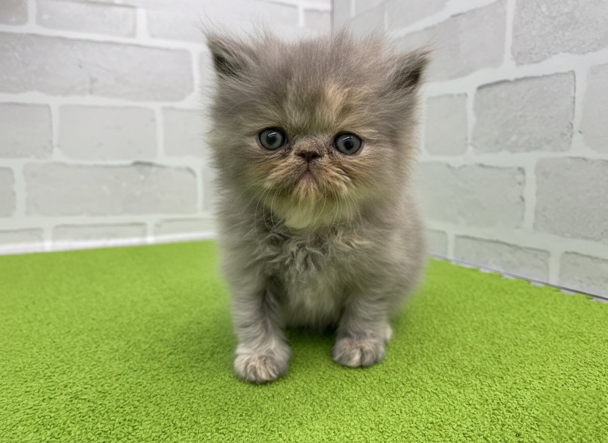 赤ちゃん写真2-1