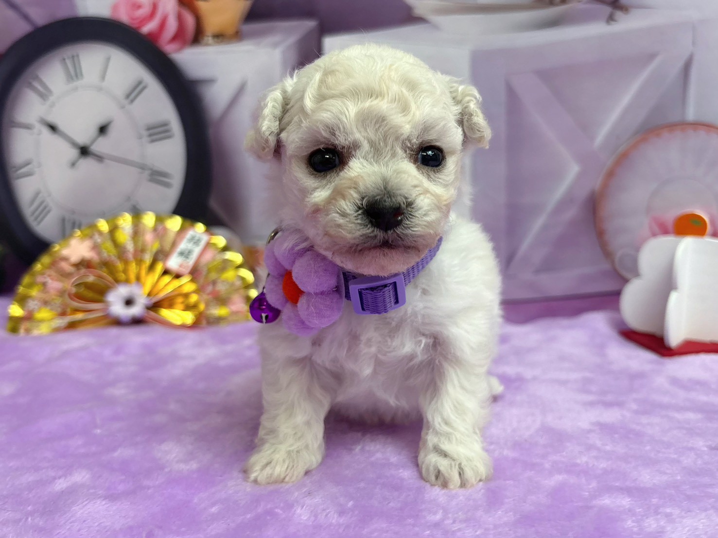 赤ちゃん写真2-1