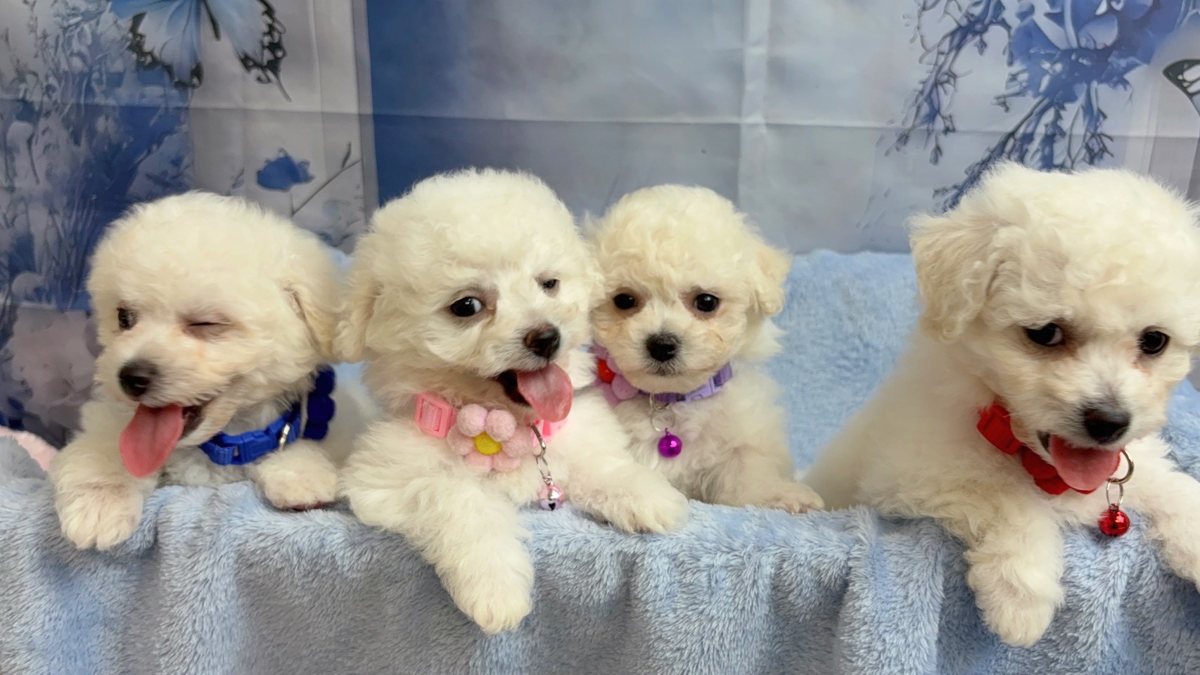 赤ちゃん写真3-3