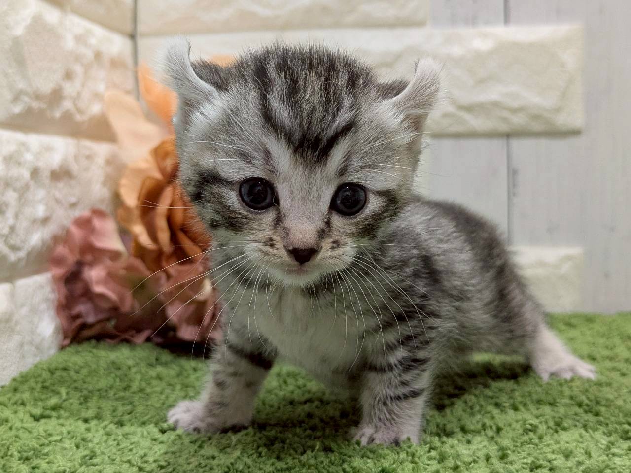 赤ちゃん写真2-1