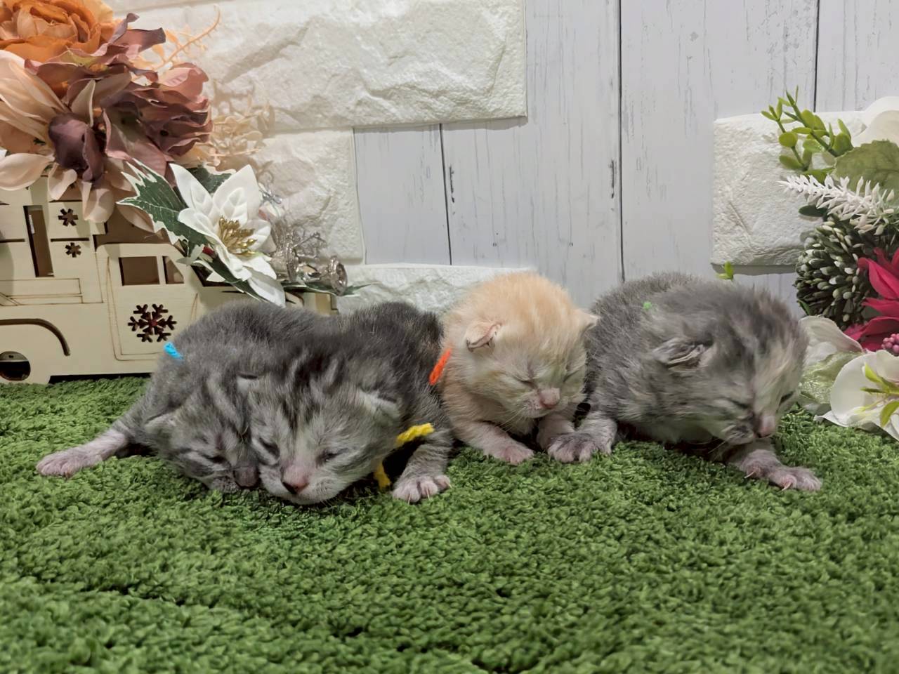 赤ちゃん写真1-3