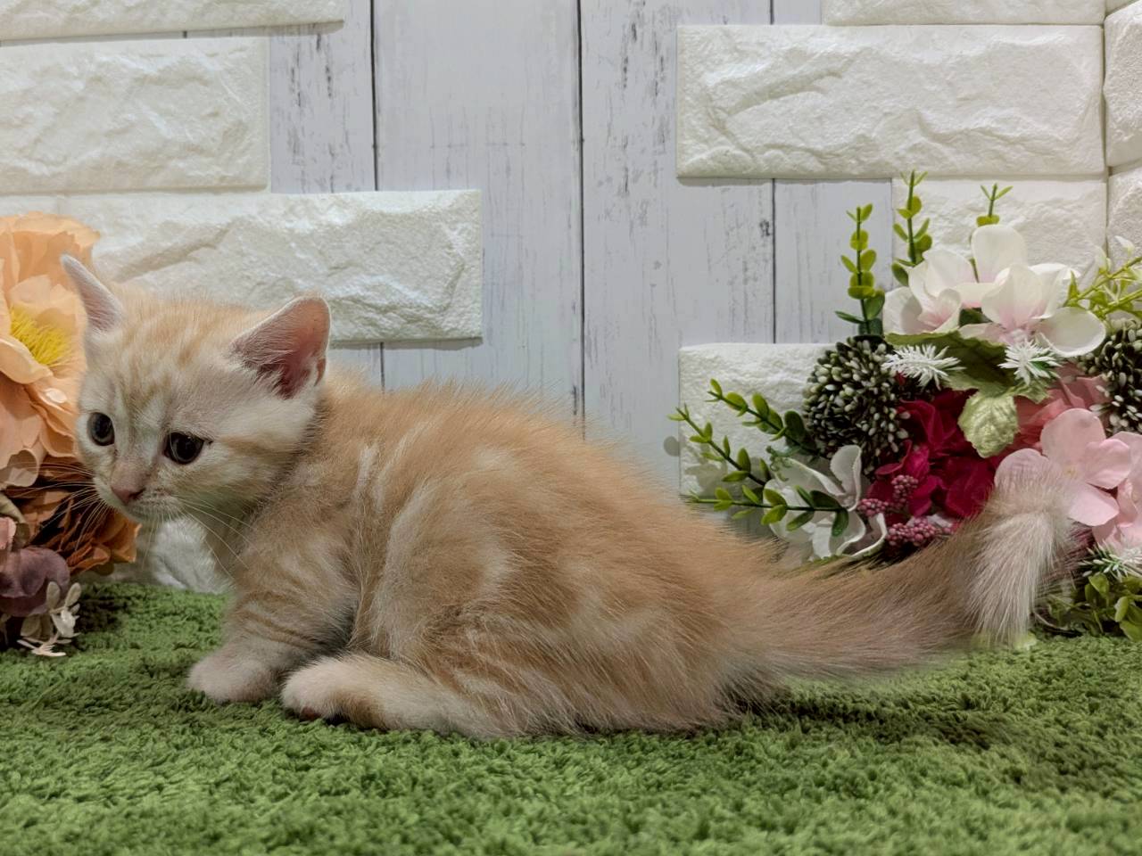 赤ちゃん写真3-2