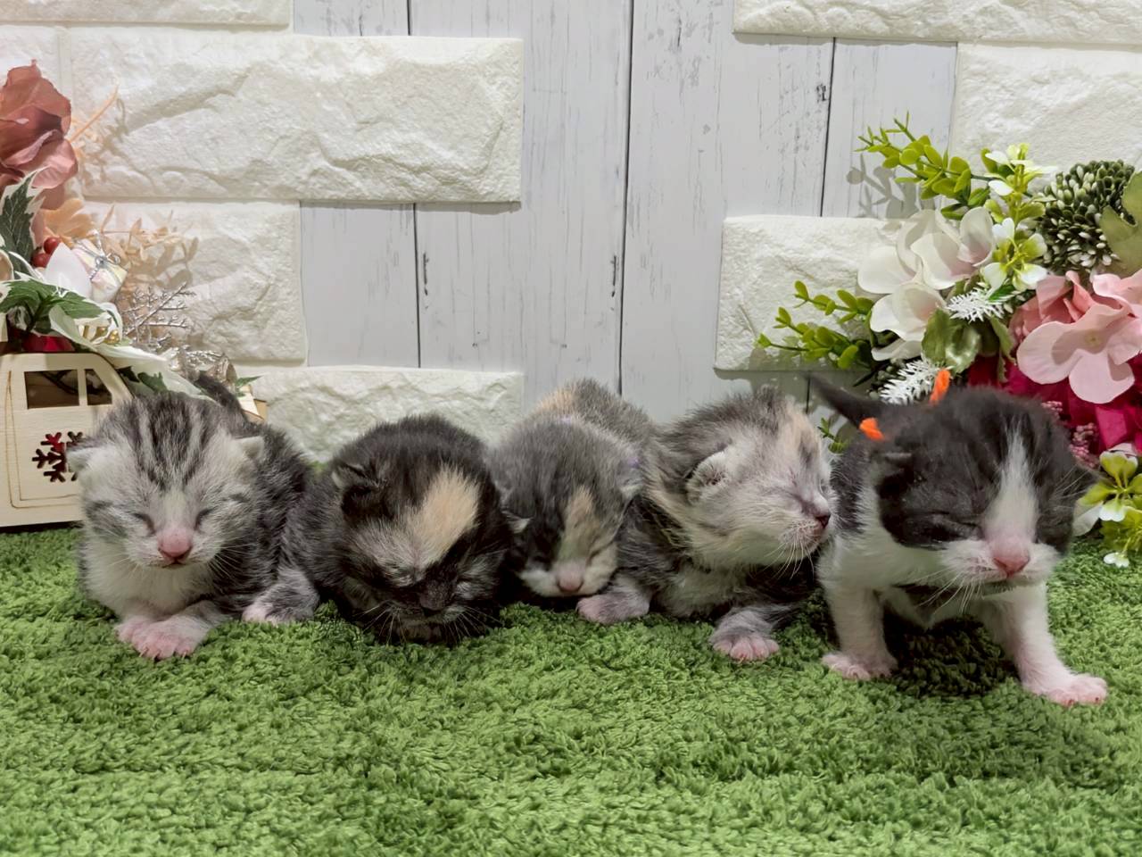赤ちゃん写真1-3