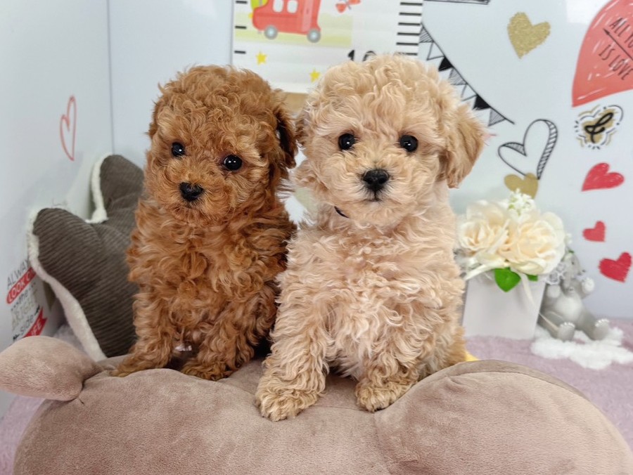赤ちゃん写真2-3