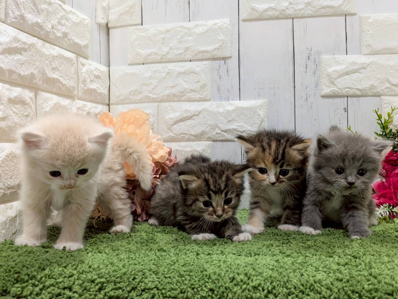 赤ちゃん写真2-3