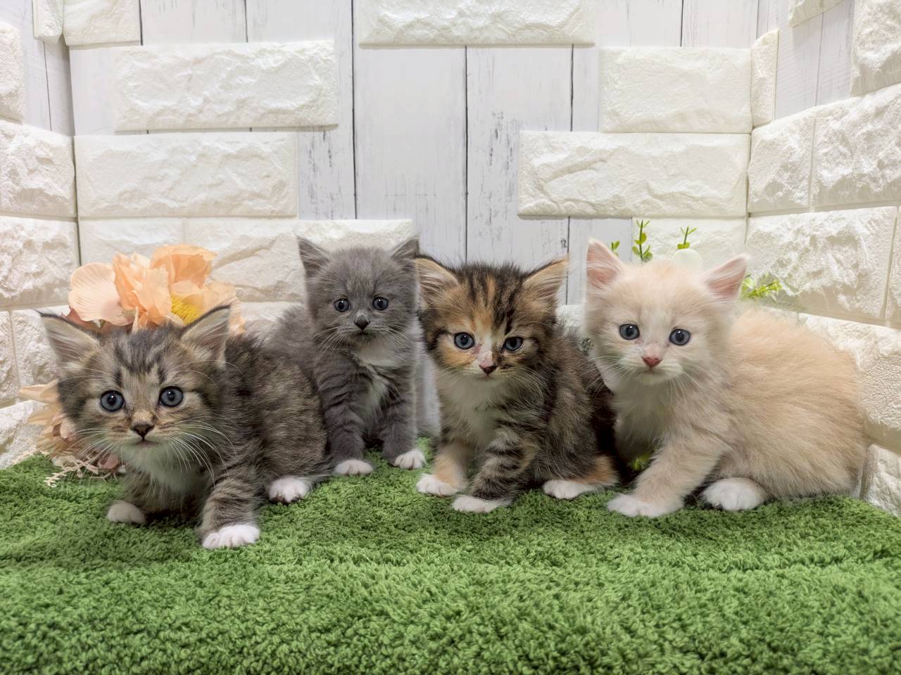 赤ちゃん写真3-3