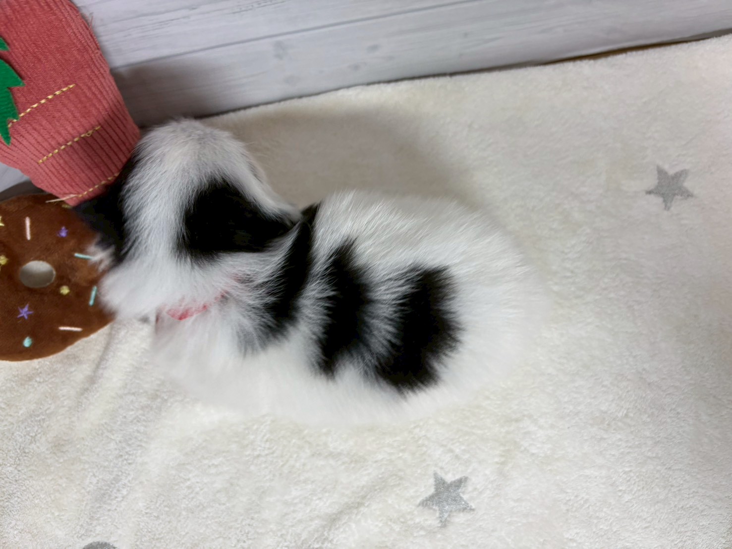 赤ちゃん写真2-3