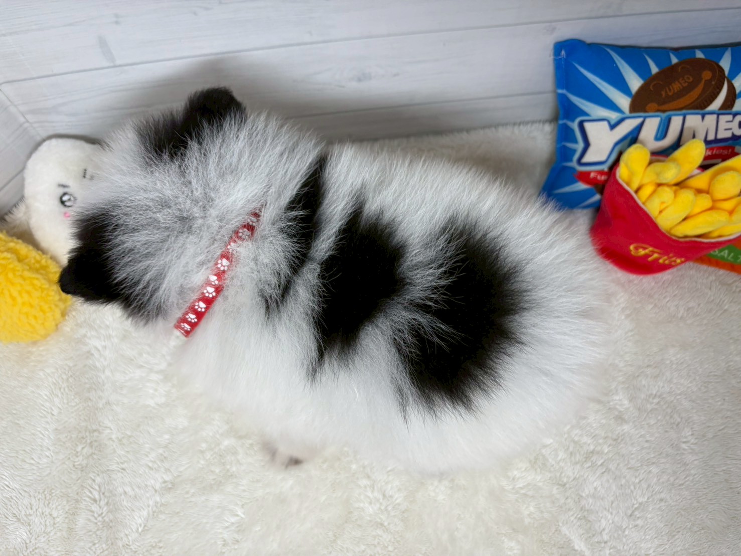 赤ちゃん写真3-3