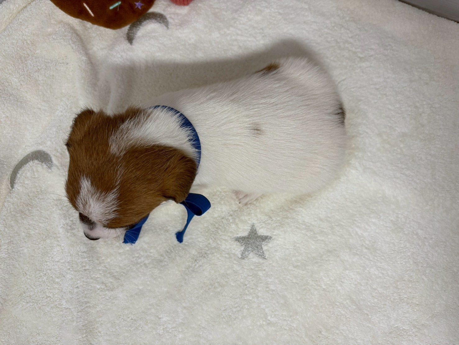赤ちゃん写真2-3