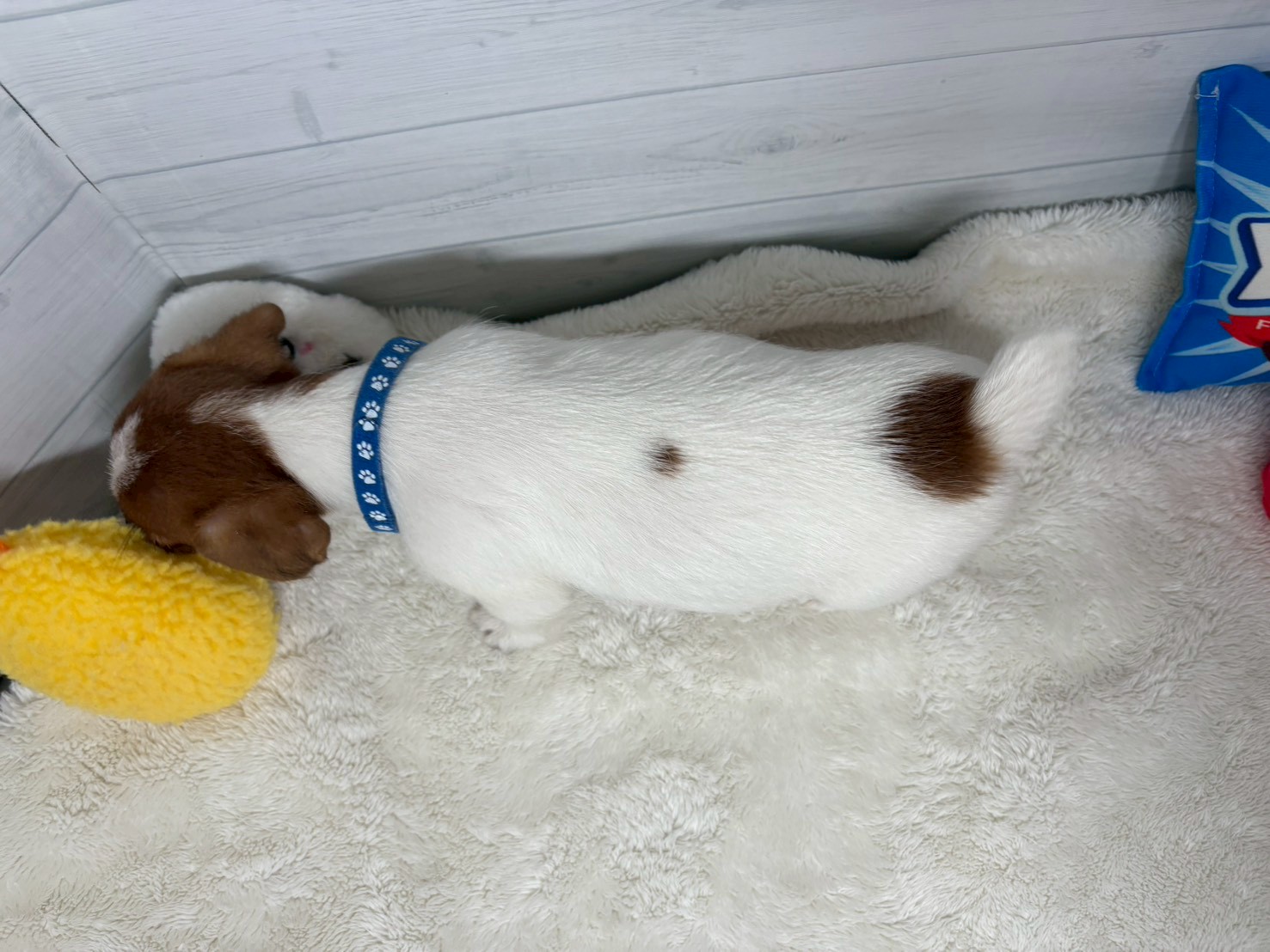 赤ちゃん写真3-3