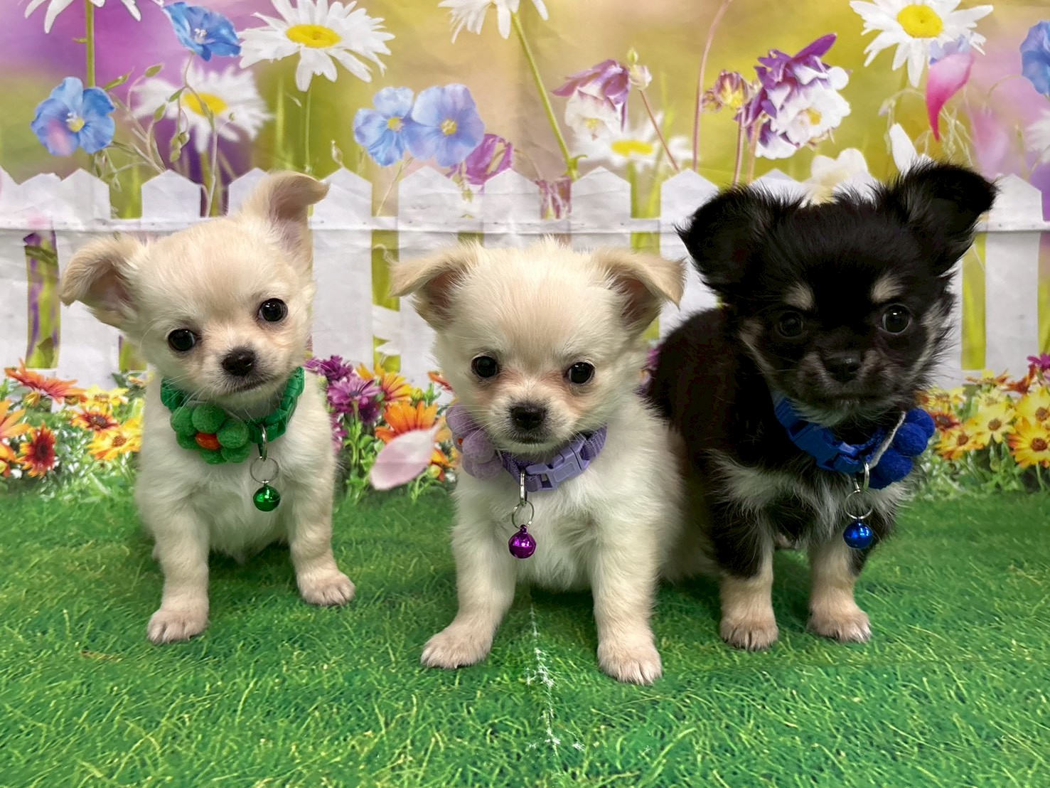 赤ちゃん写真3-3