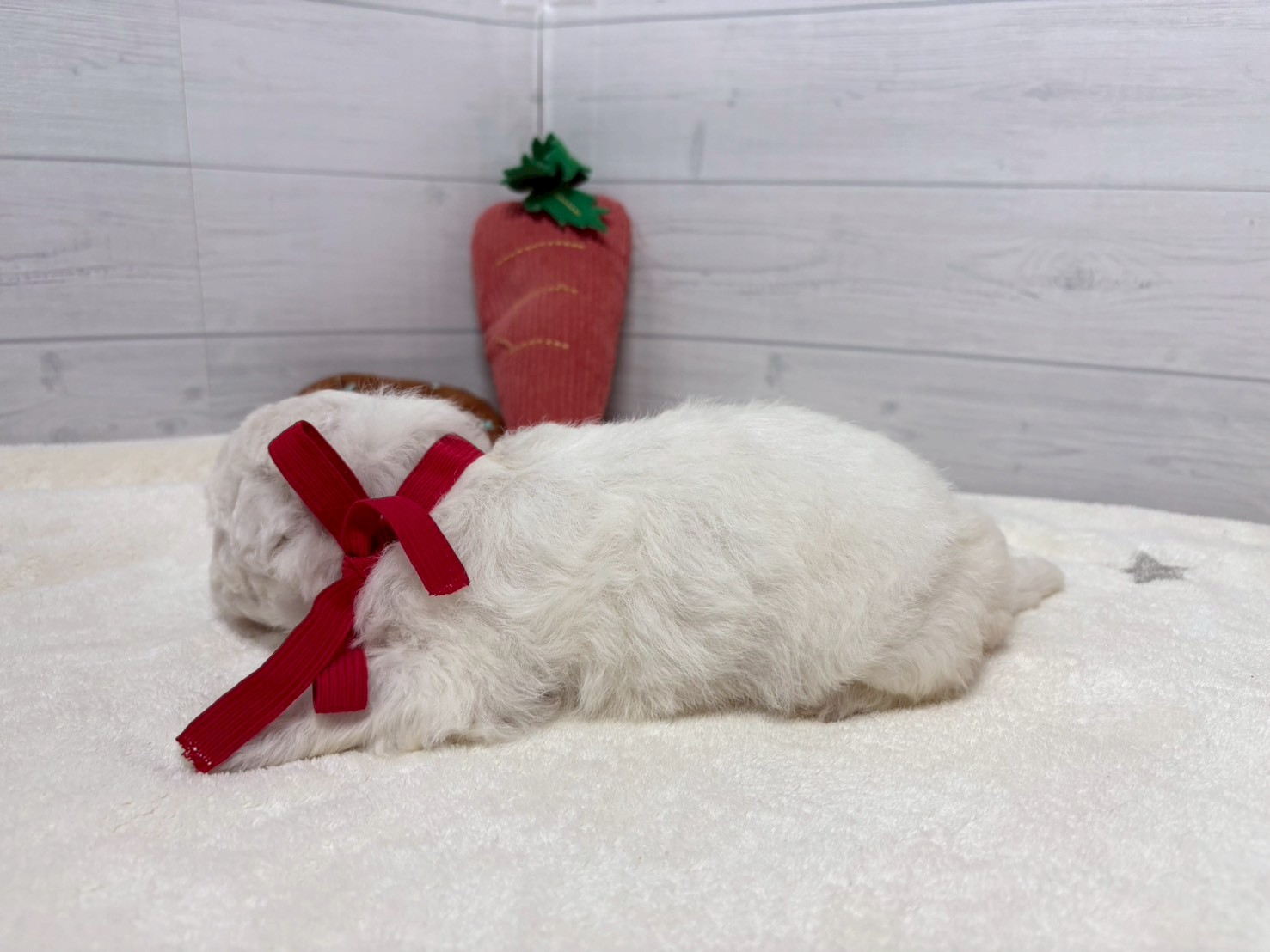 赤ちゃん写真2-2