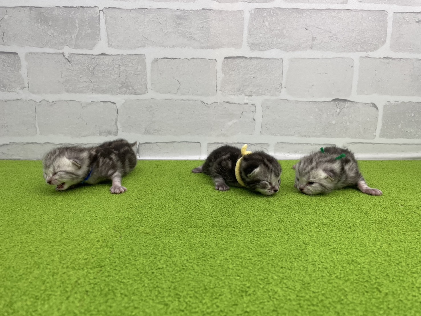 赤ちゃん写真1-3