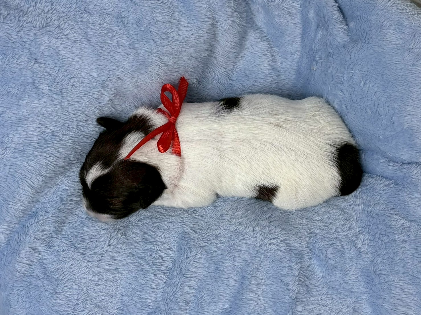 赤ちゃん写真1-3