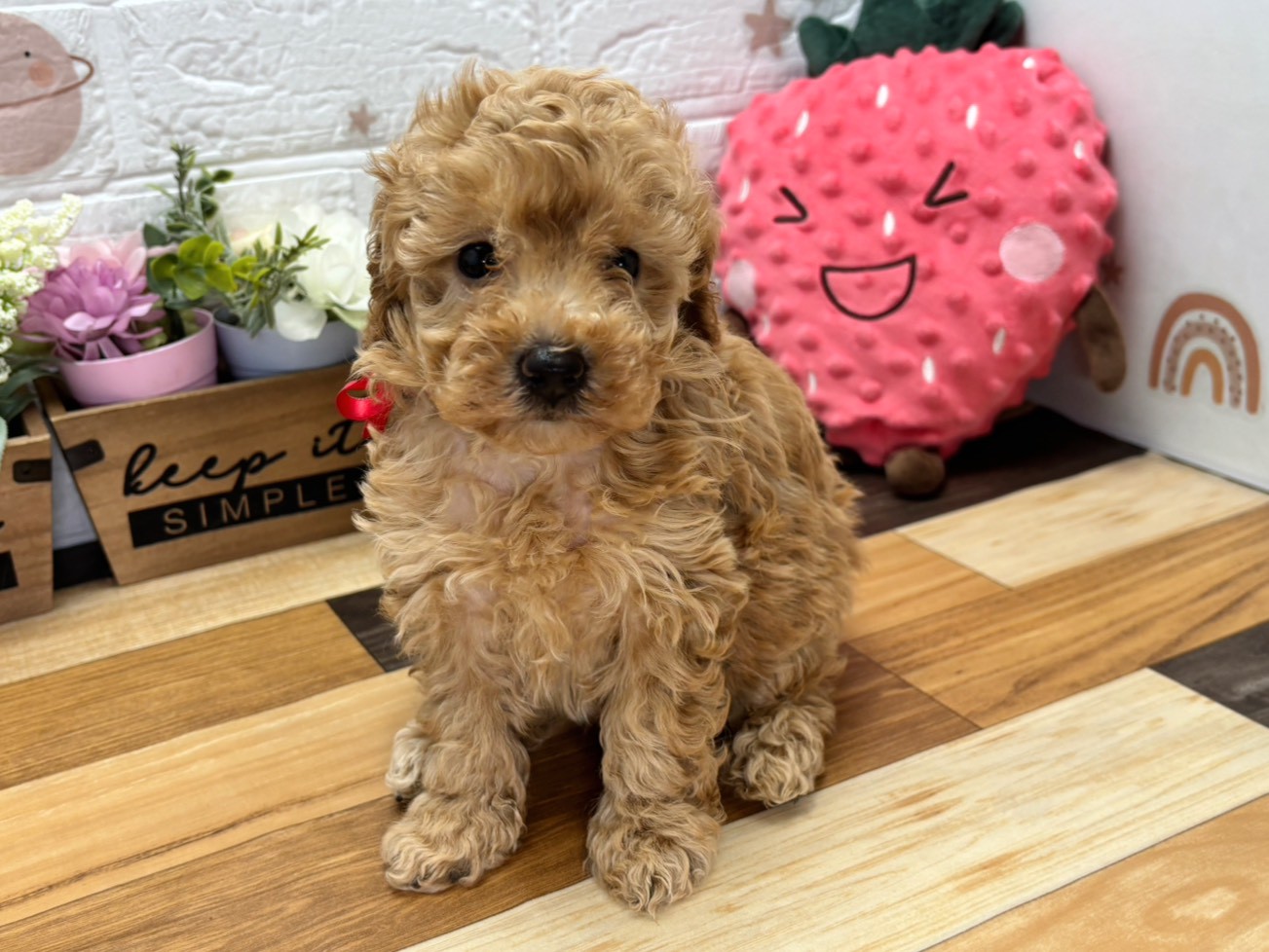 赤ちゃん写真3-1