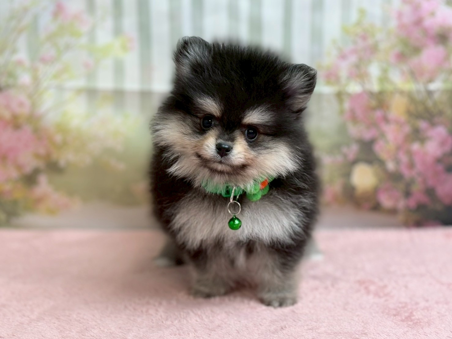 赤ちゃん写真3-1