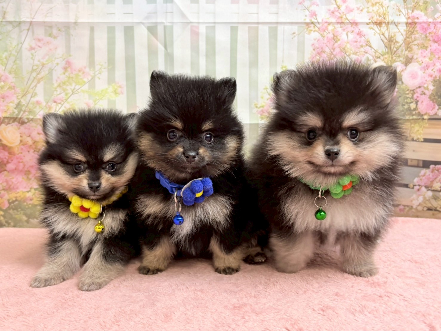赤ちゃん写真3-3