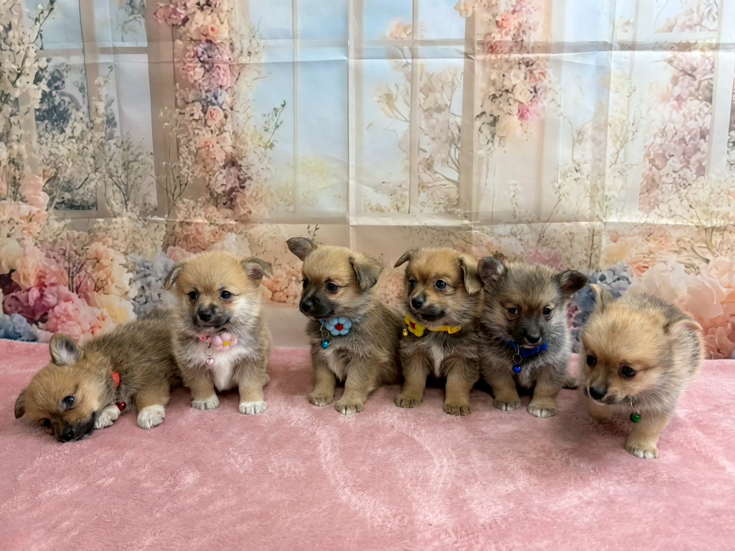 赤ちゃん写真3-3
