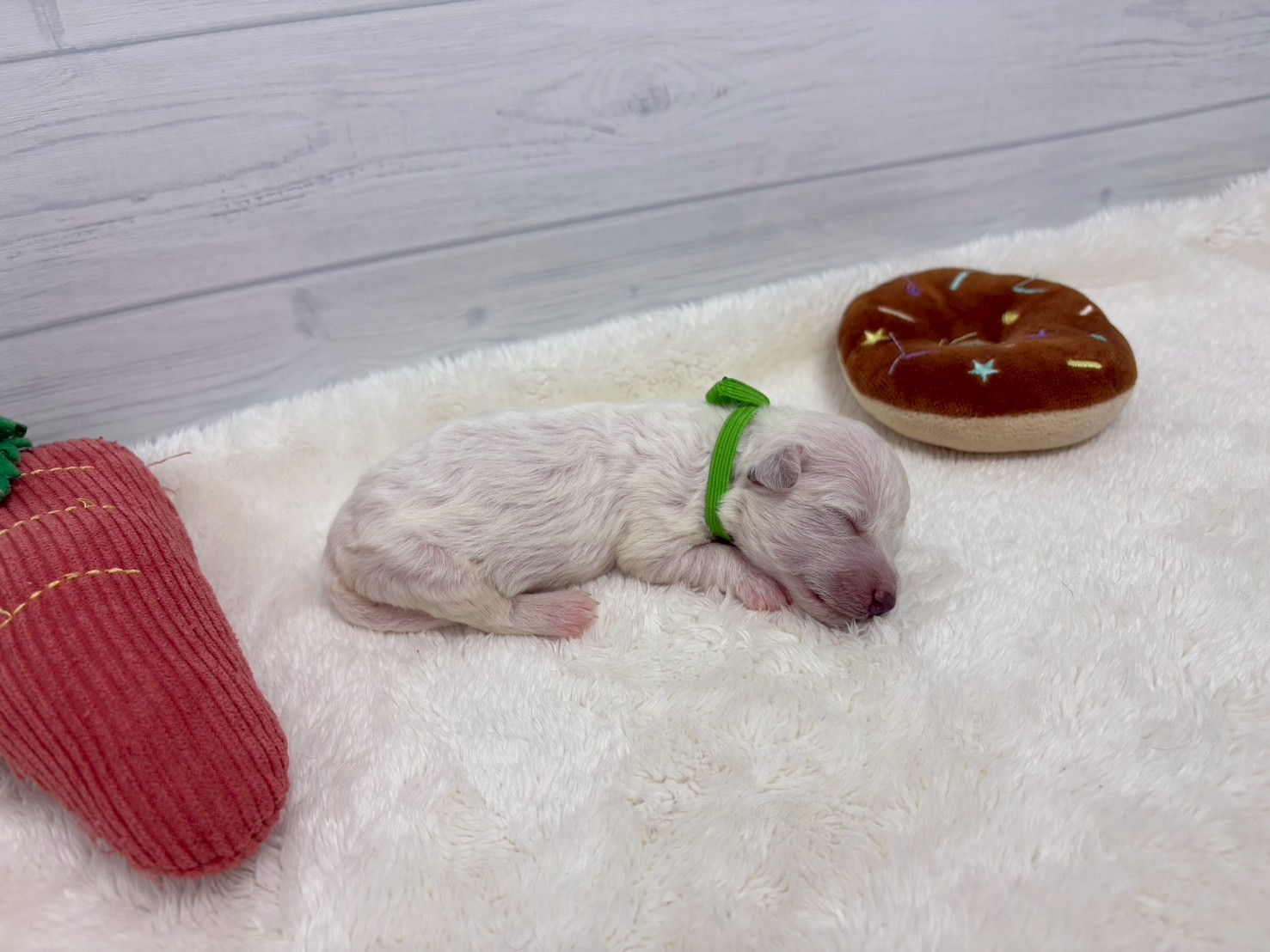 赤ちゃん写真1-2