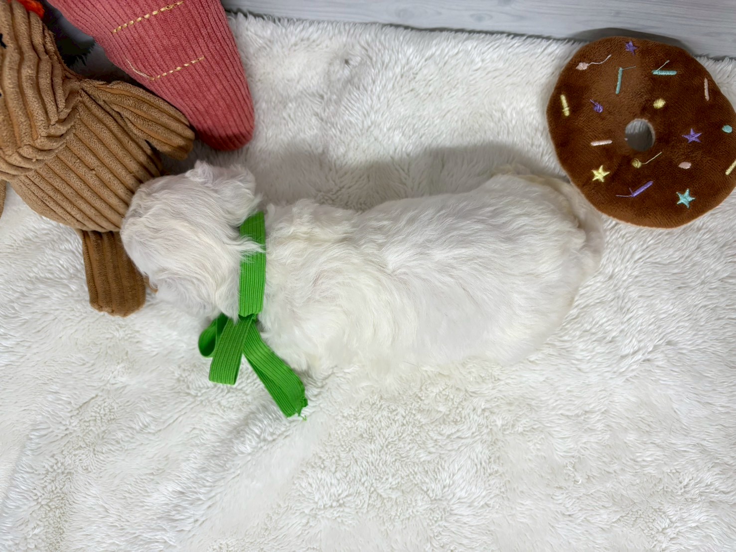 赤ちゃん写真2-3