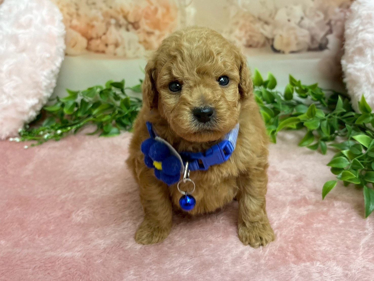 赤ちゃん写真2-1