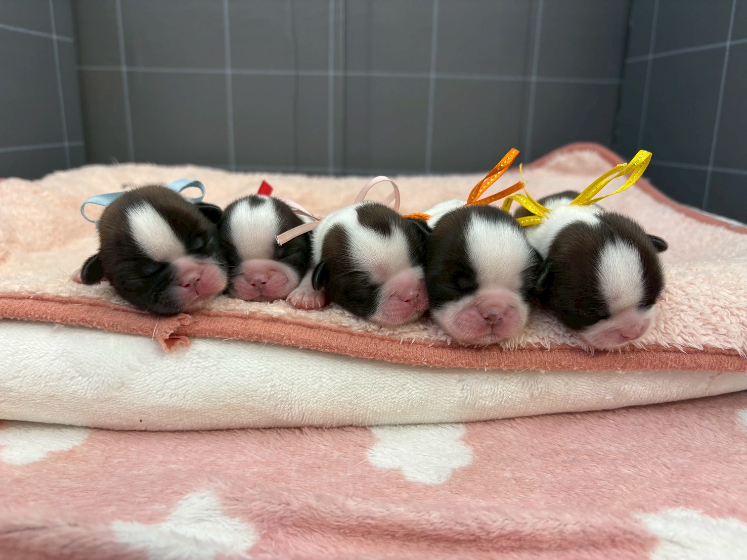 赤ちゃん写真1-3