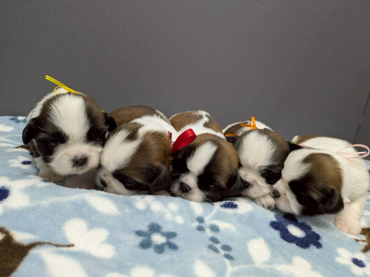 赤ちゃん写真2-3