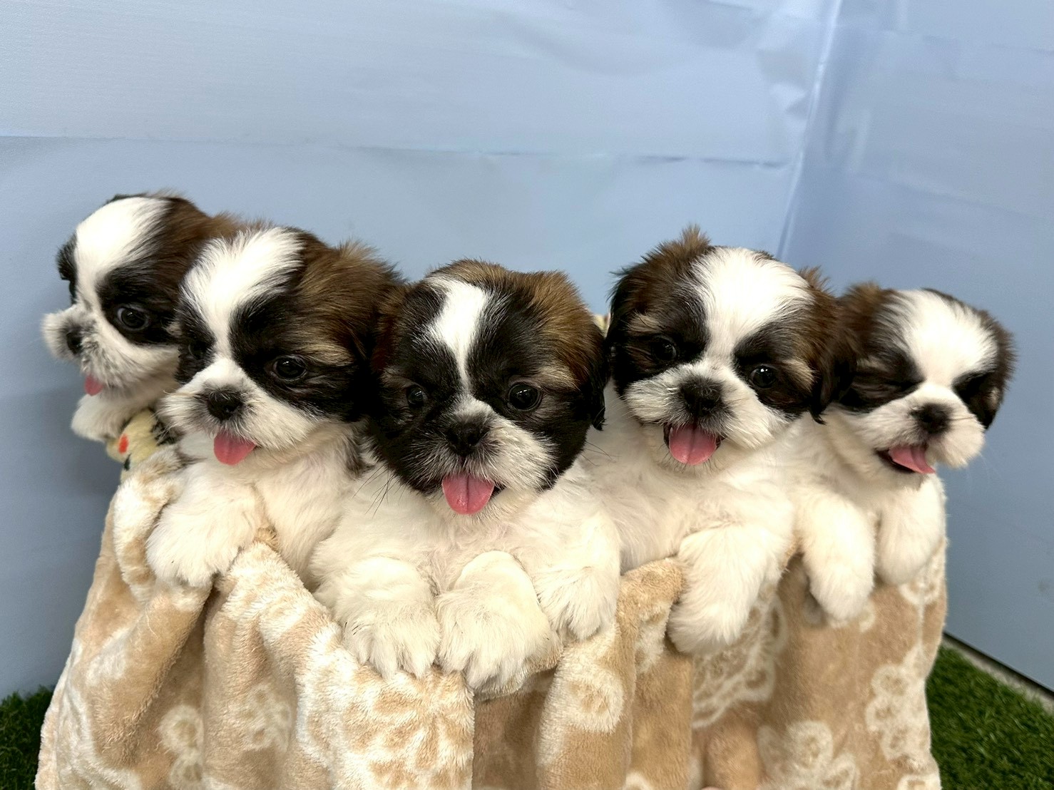 赤ちゃん写真3-3