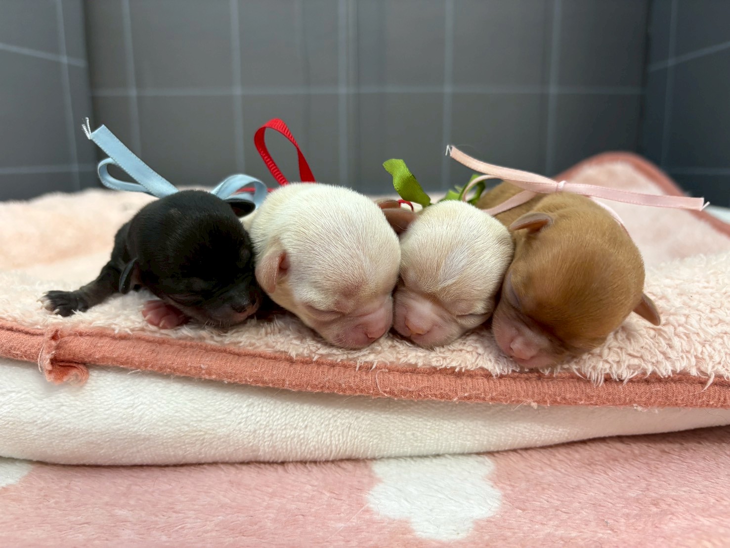 赤ちゃん写真1-3