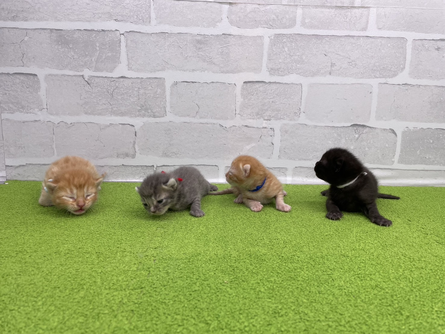赤ちゃん写真1-3