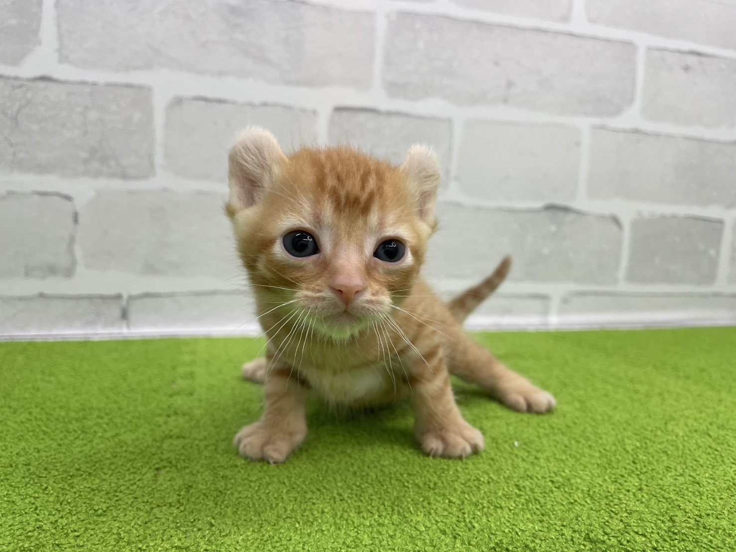 赤ちゃん写真2-1