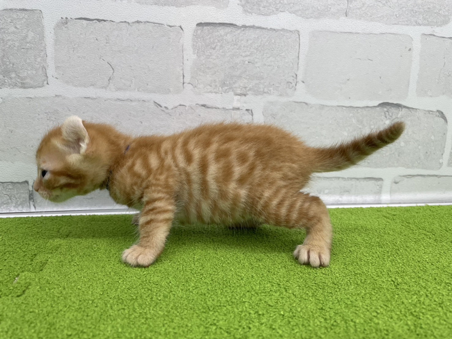 赤ちゃん写真2-2