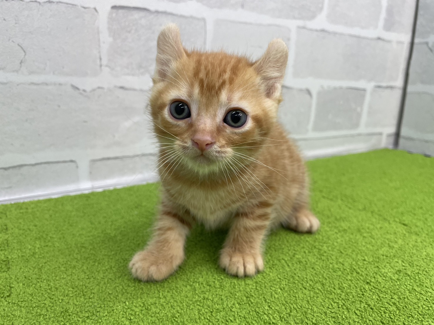 赤ちゃん写真3-1