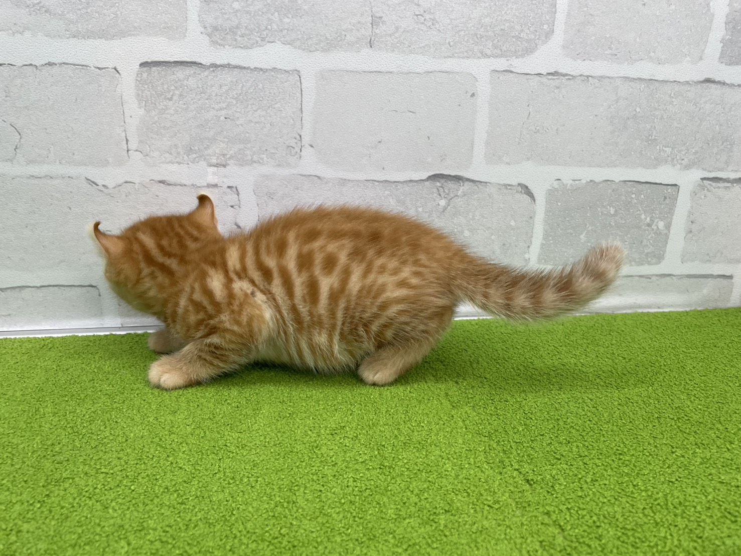 赤ちゃん写真3-2