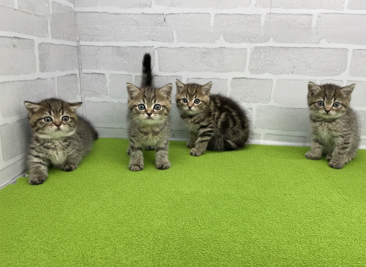 赤ちゃん写真3-3