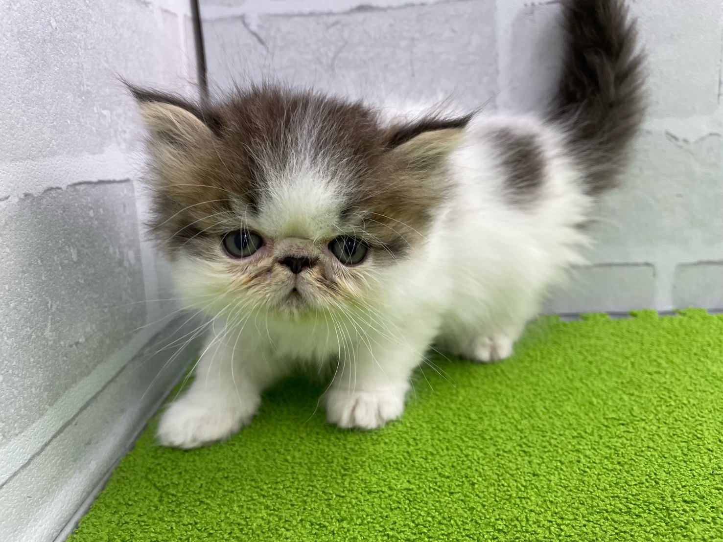 赤ちゃん写真2-1