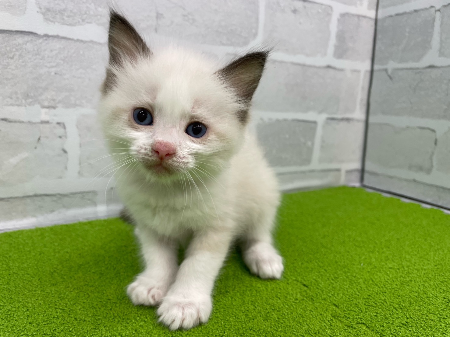 赤ちゃん写真2-1