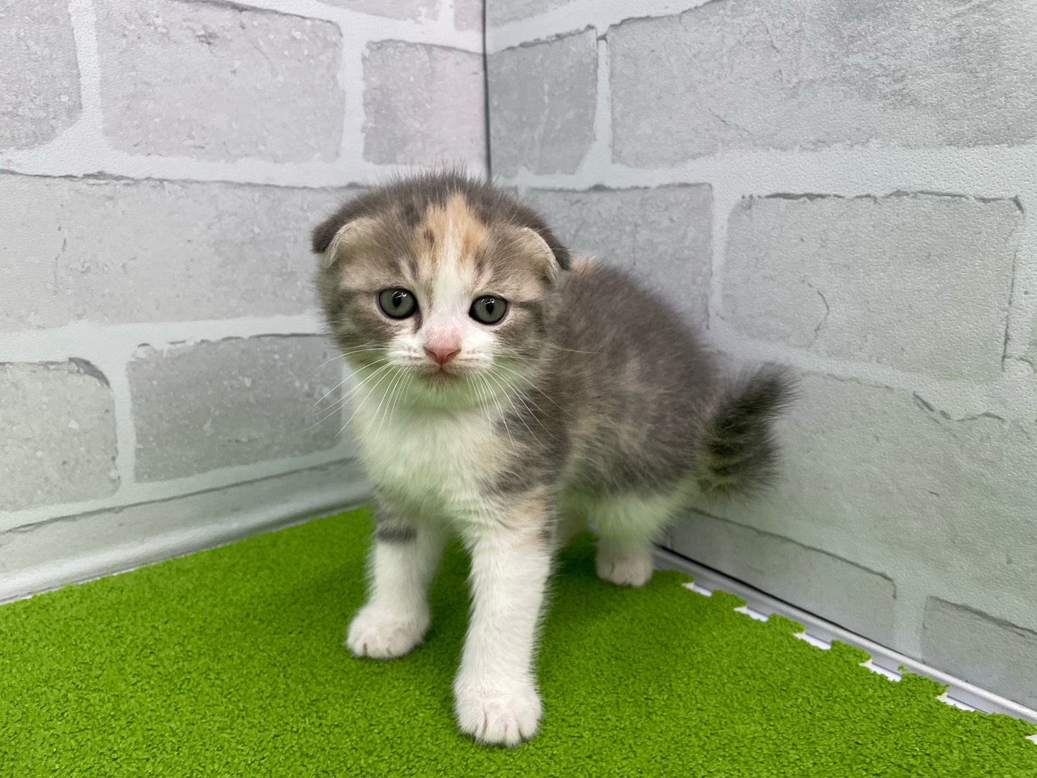 赤ちゃん写真2-1