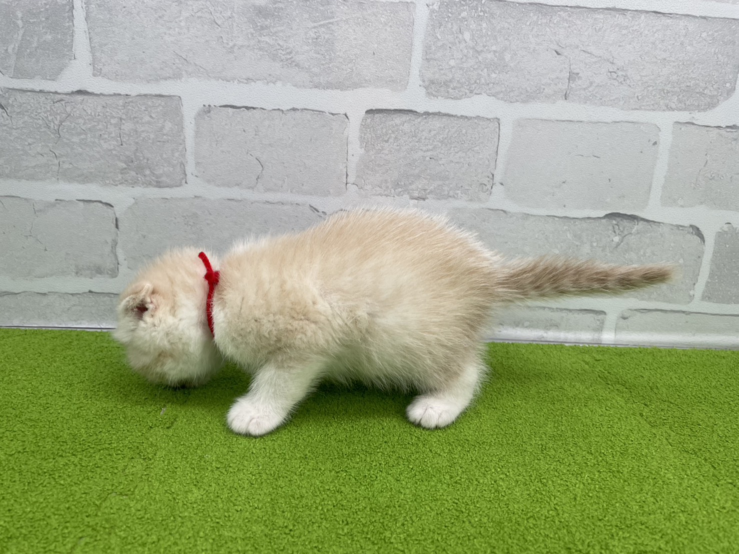 赤ちゃん写真2-2