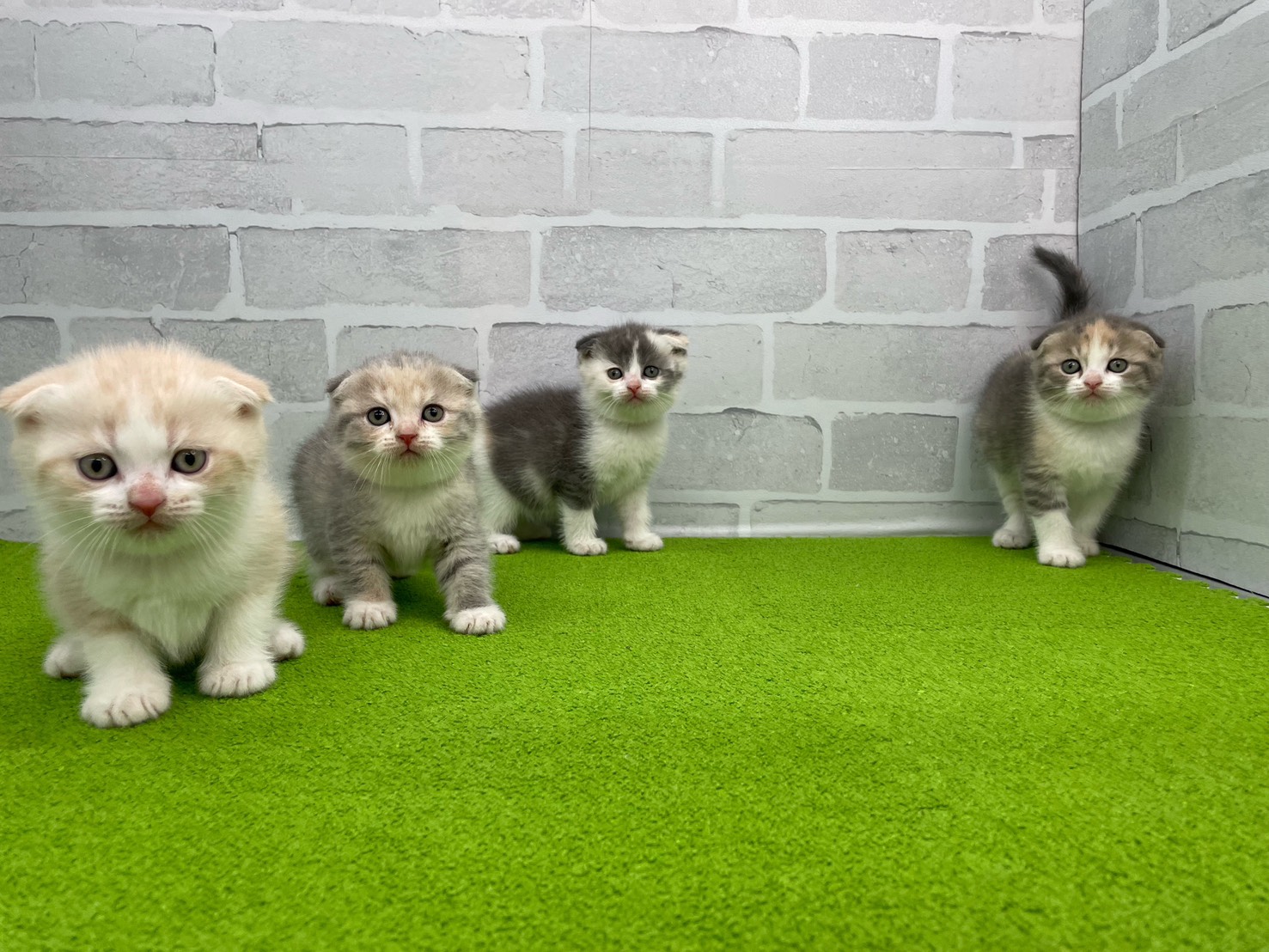 赤ちゃん写真2-3