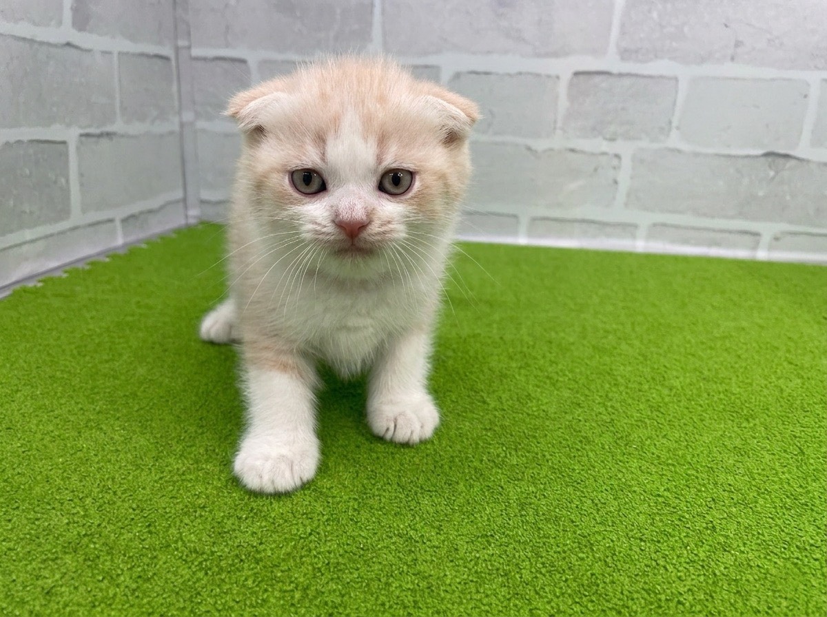 赤ちゃん写真3-1