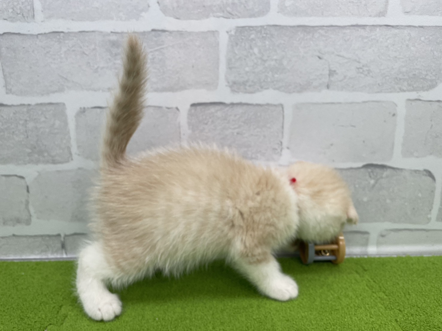赤ちゃん写真3-2
