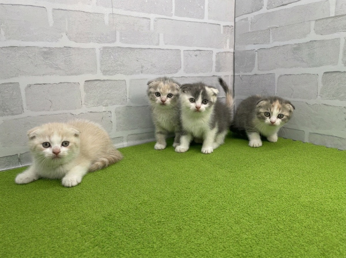 赤ちゃん写真3-3