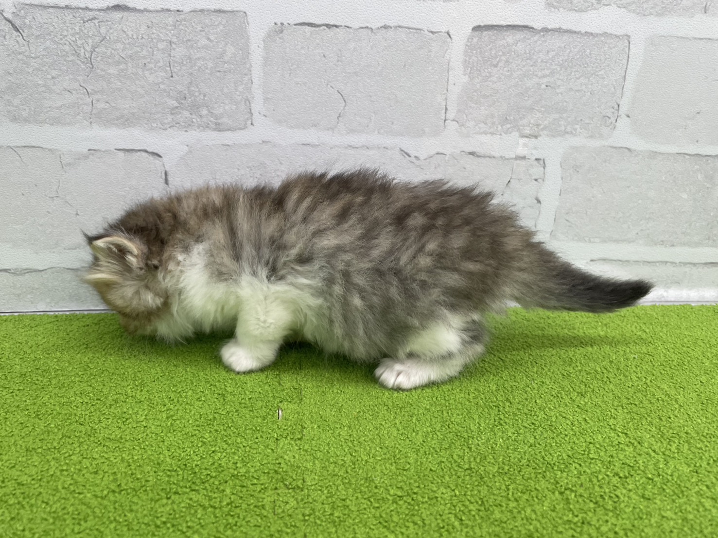 赤ちゃん写真2-2