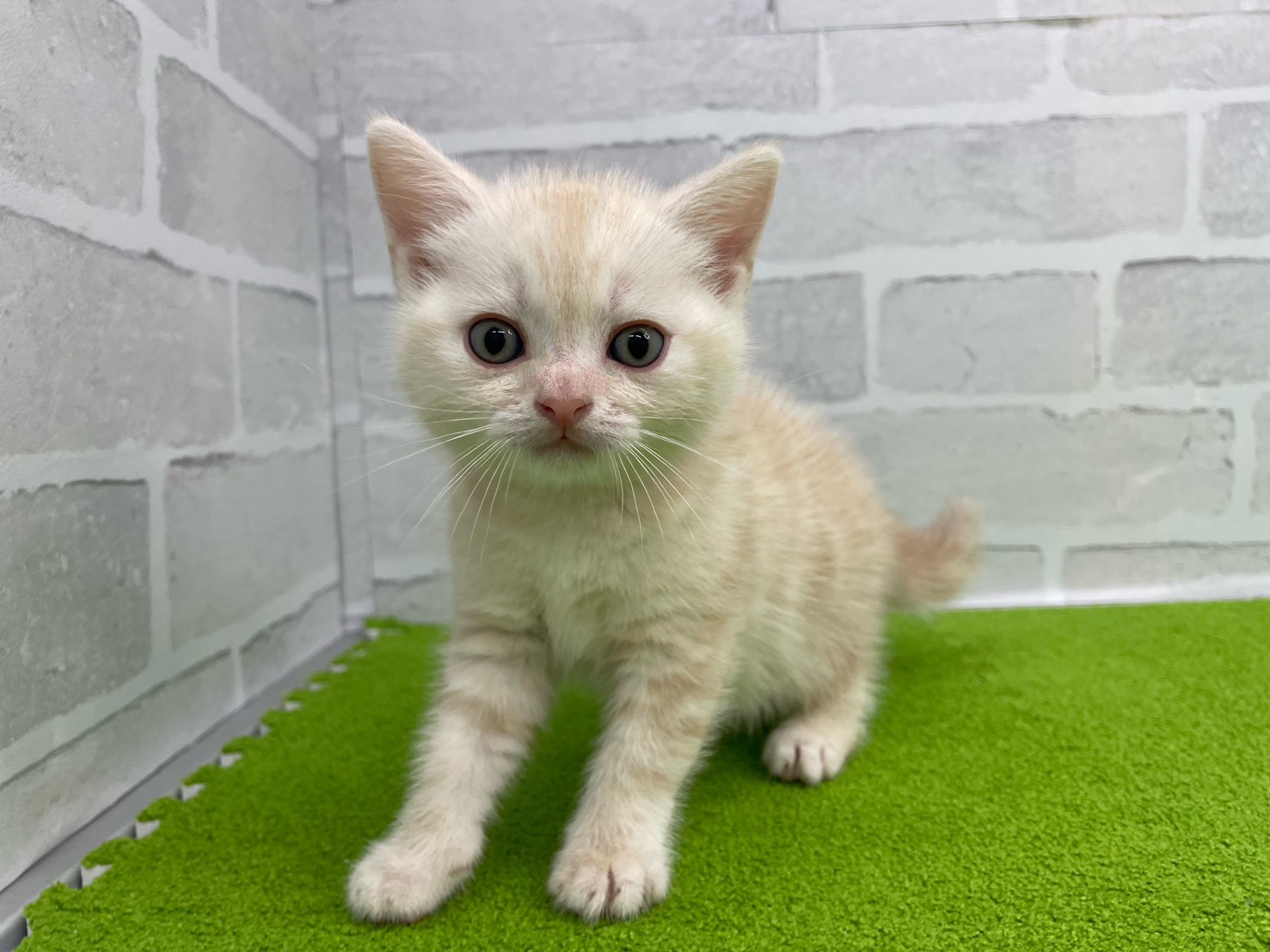 赤ちゃん写真2-1