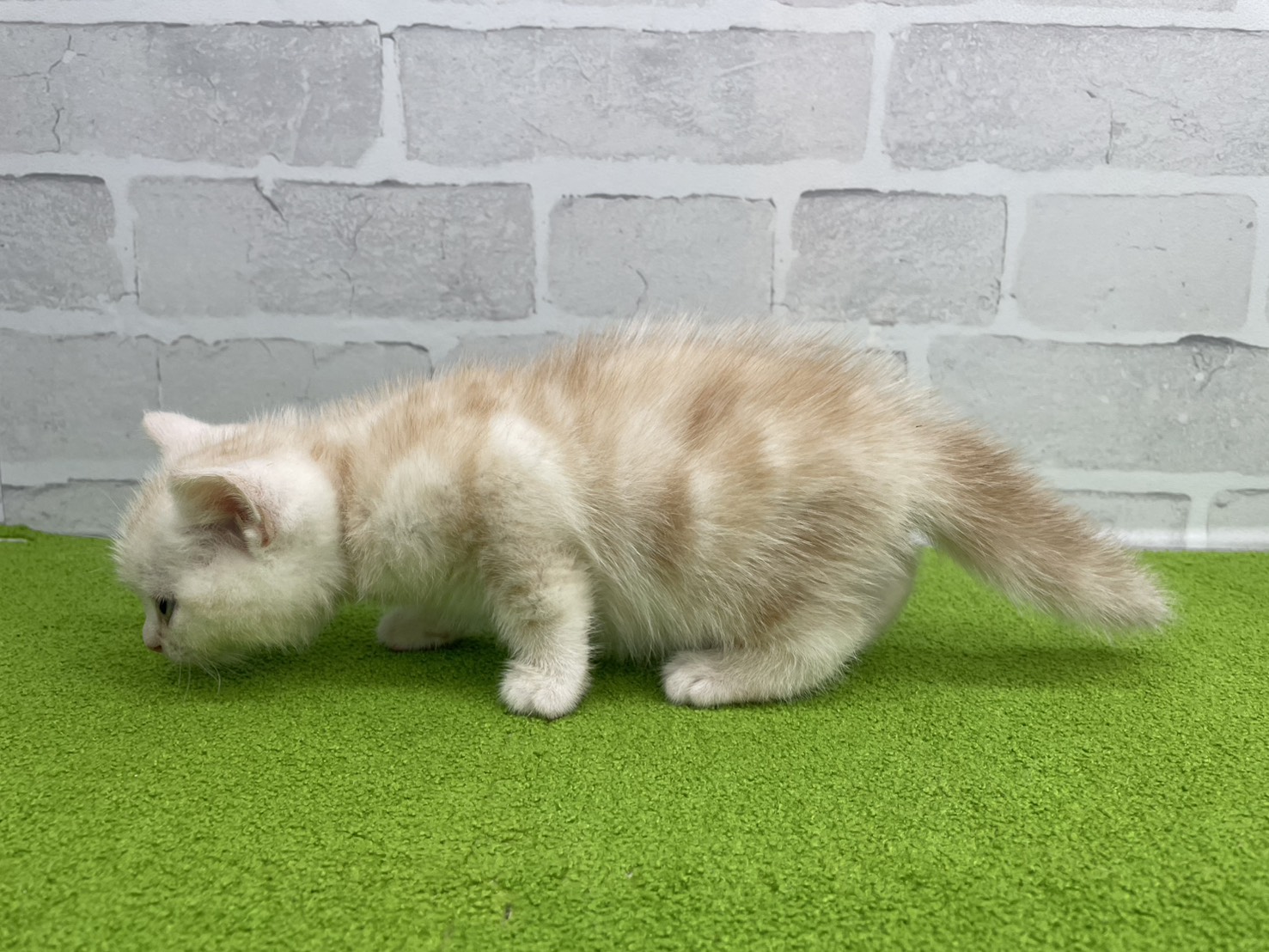 赤ちゃん写真2-2