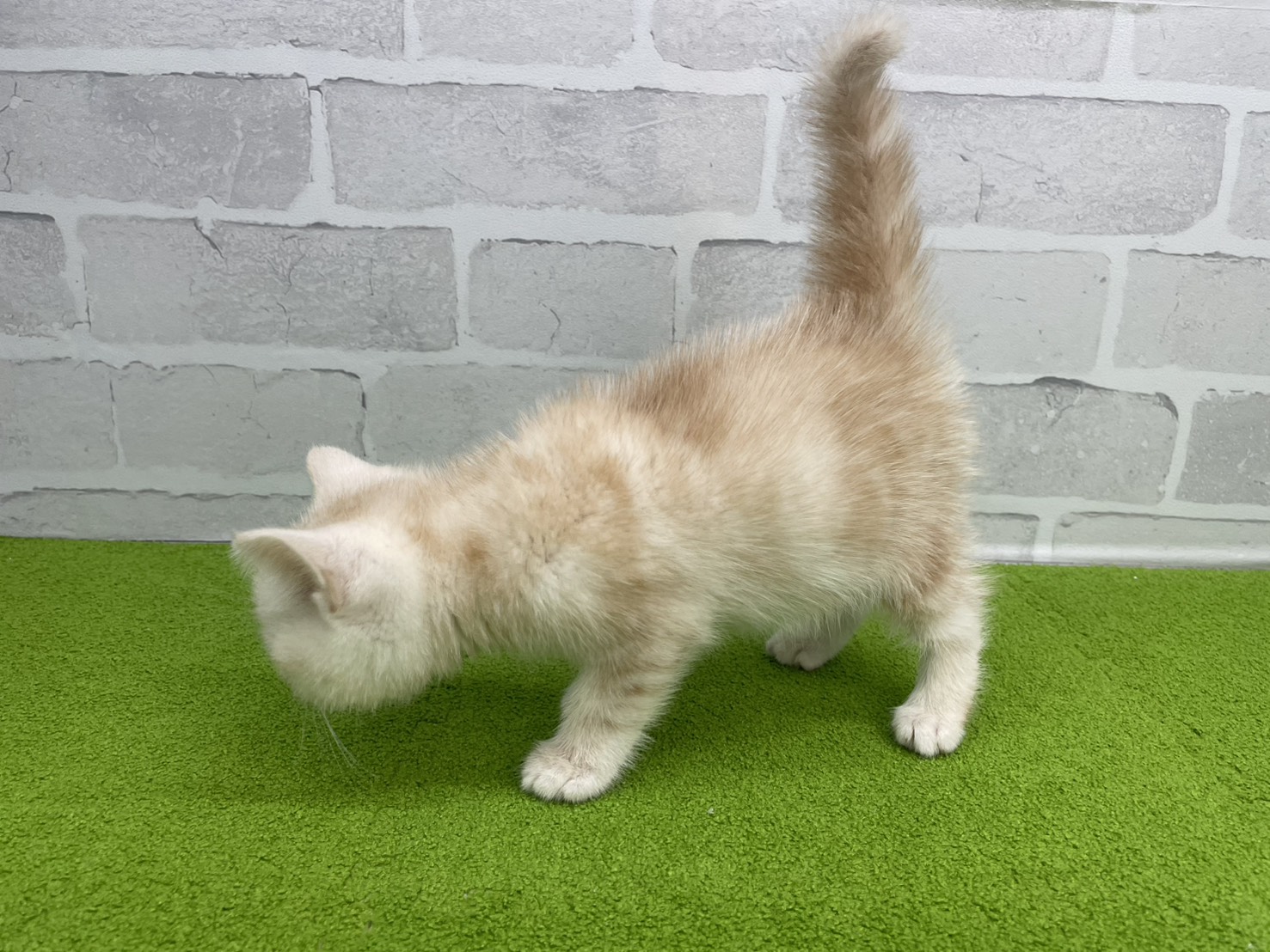 赤ちゃん写真3-2