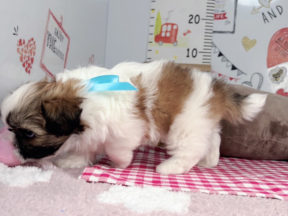 赤ちゃん写真2-2