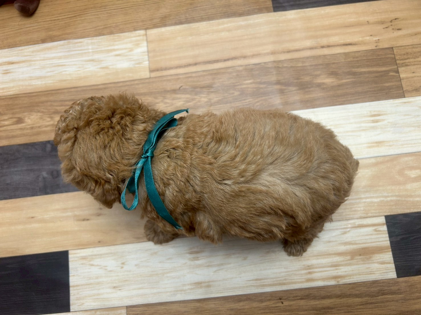 赤ちゃん写真3-3