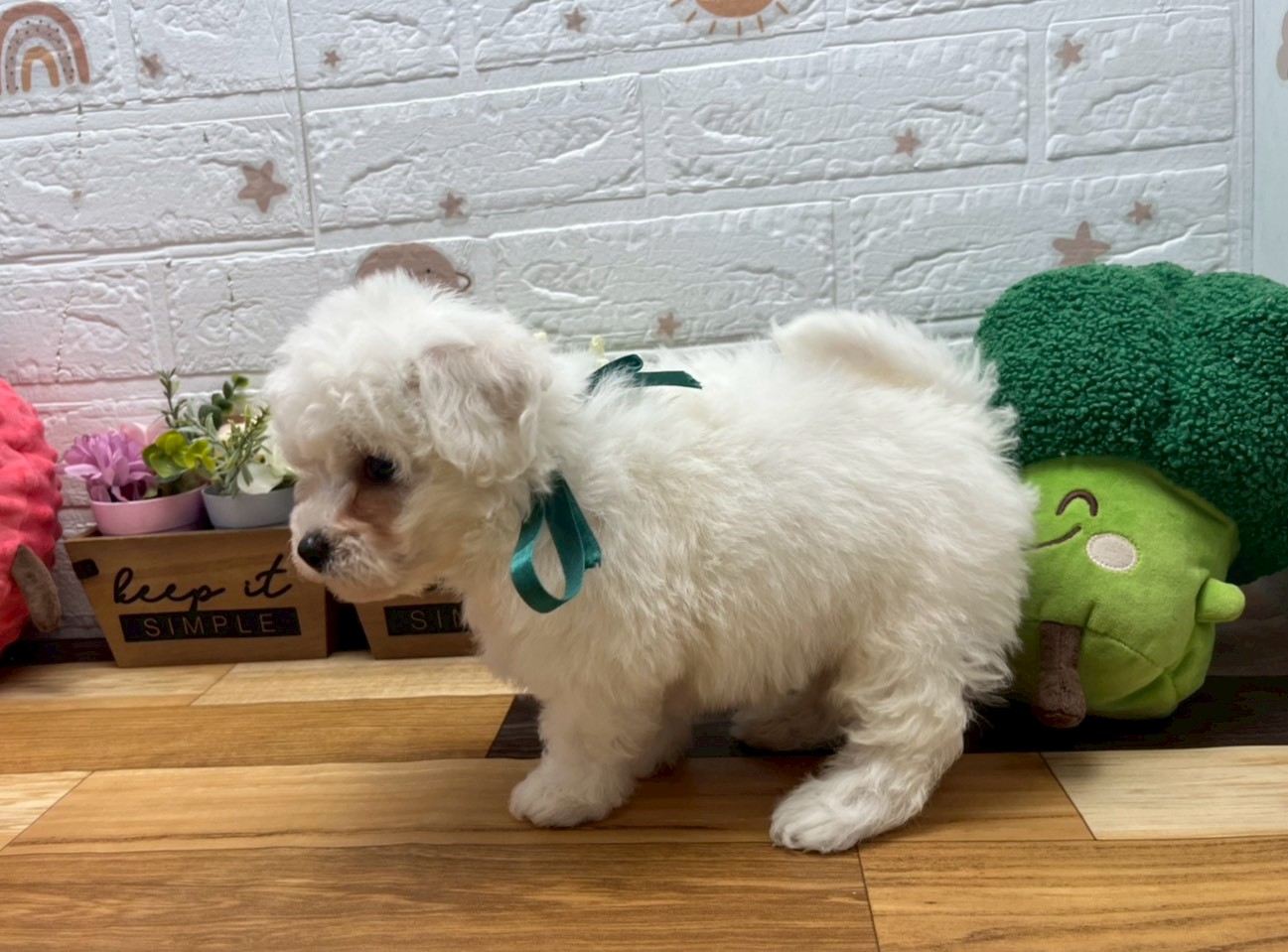 赤ちゃん写真3-2